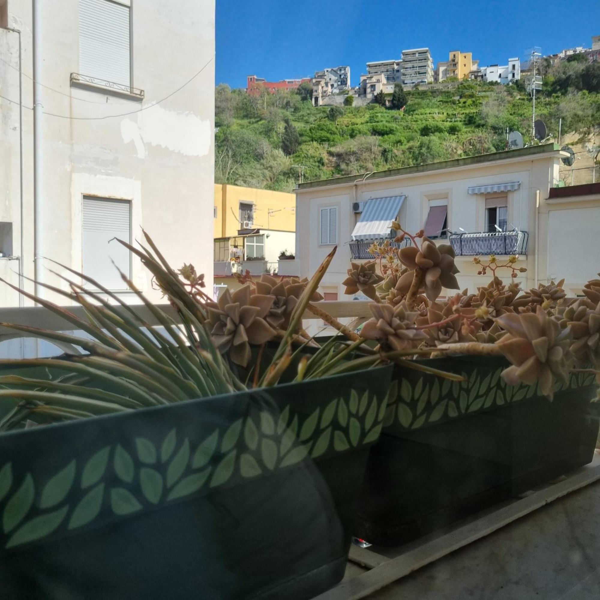 Casa Colimoro Appartamento Napoli